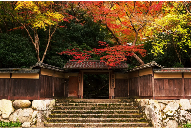 京都本院 瑠璃光院